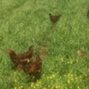 Meet your Posher, Kendra